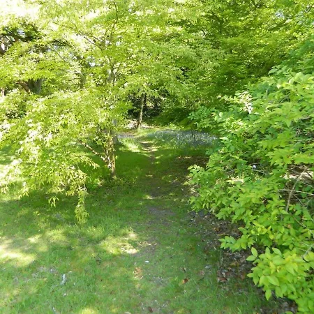 River Cottage A Country Retreat In Wooded Gardens East Stoke  Exterior photo