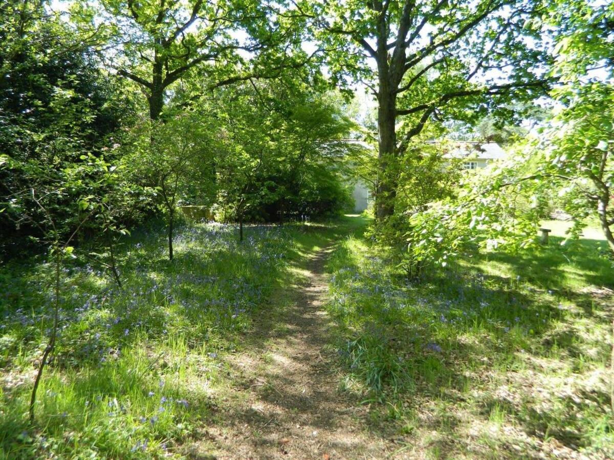 River A Country Retreat In Wooded Gardens
