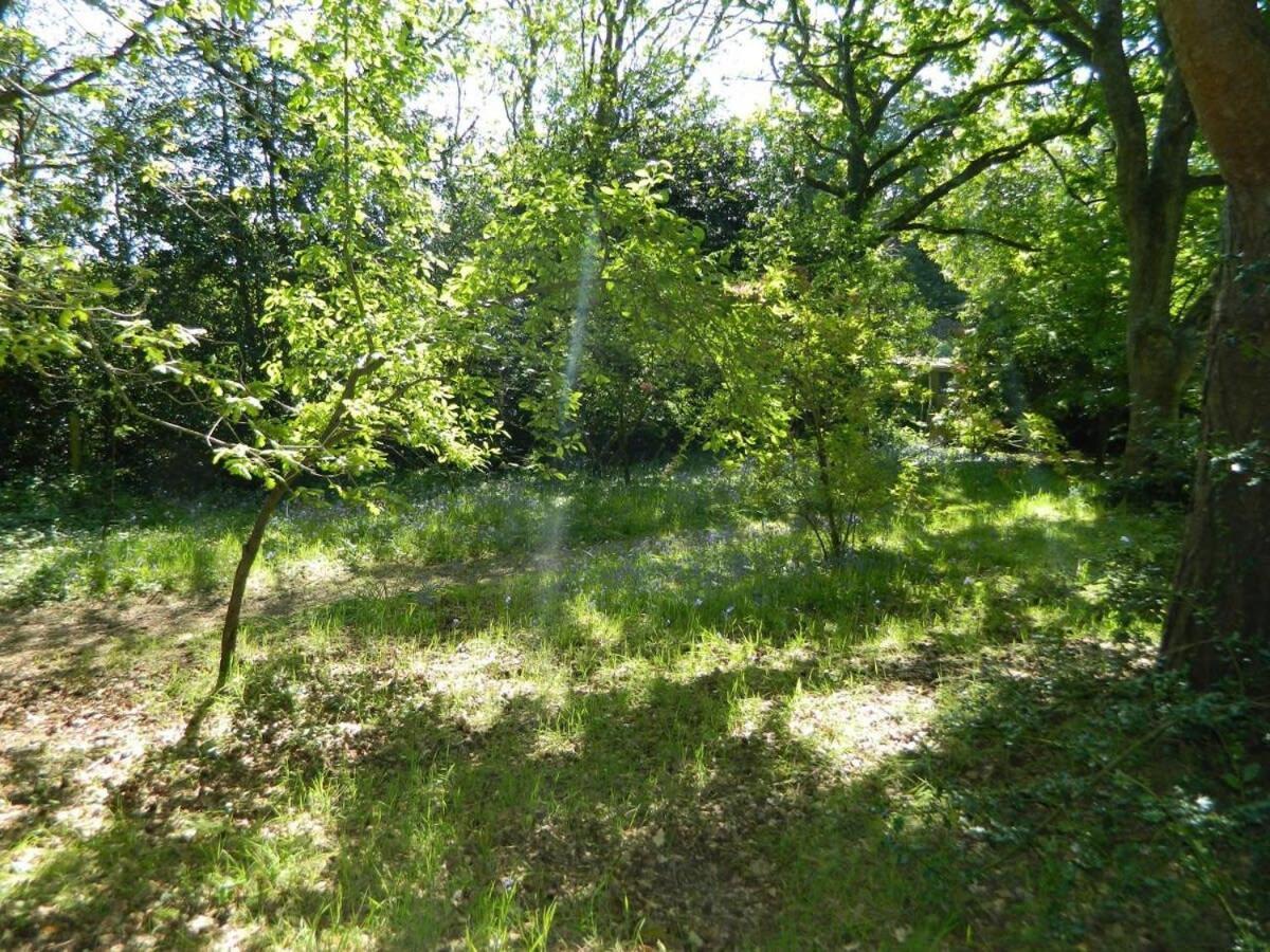 River A Country Retreat In Wooded Gardens